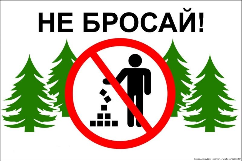 «Бережем природу нашего поселения вместе!»