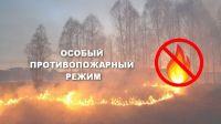 С 05 июля 2024 года установлен Особый противопожарный режим